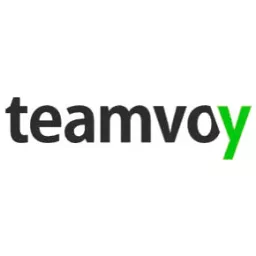 teamvoy